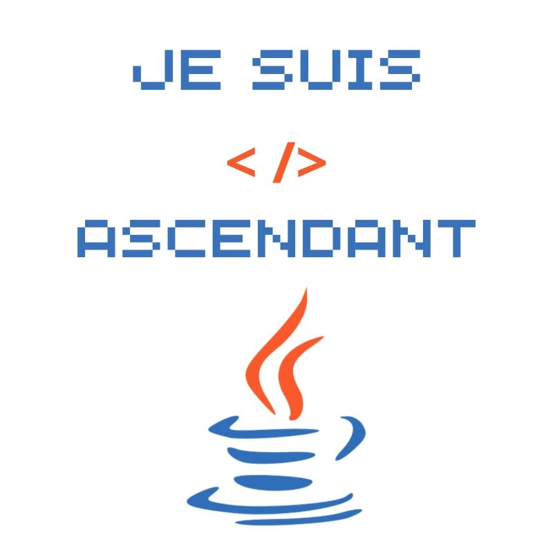 Geschenk für Java-Entwickler