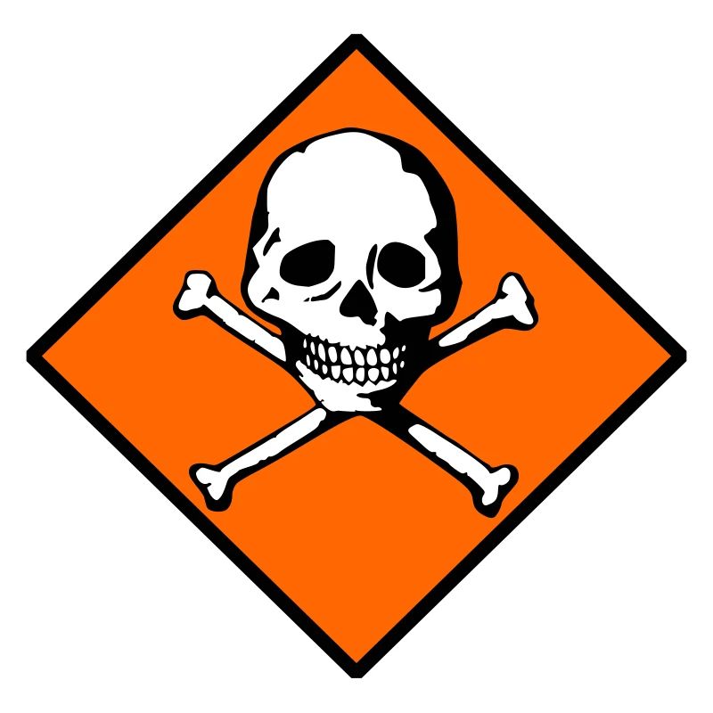 Skull and bones