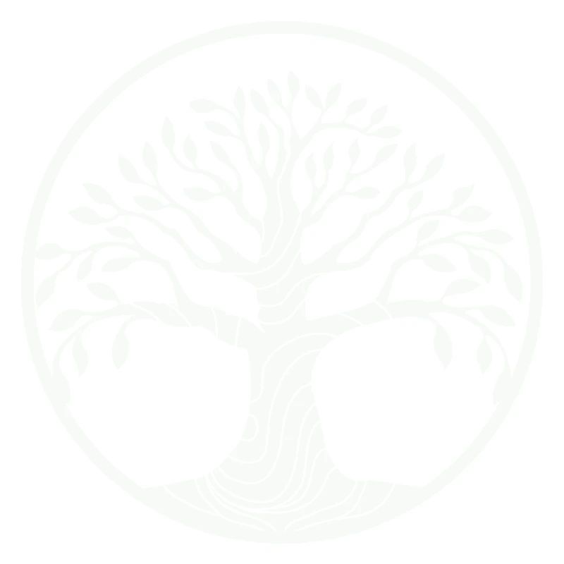 arbre