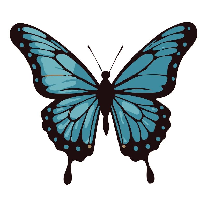 Papillon