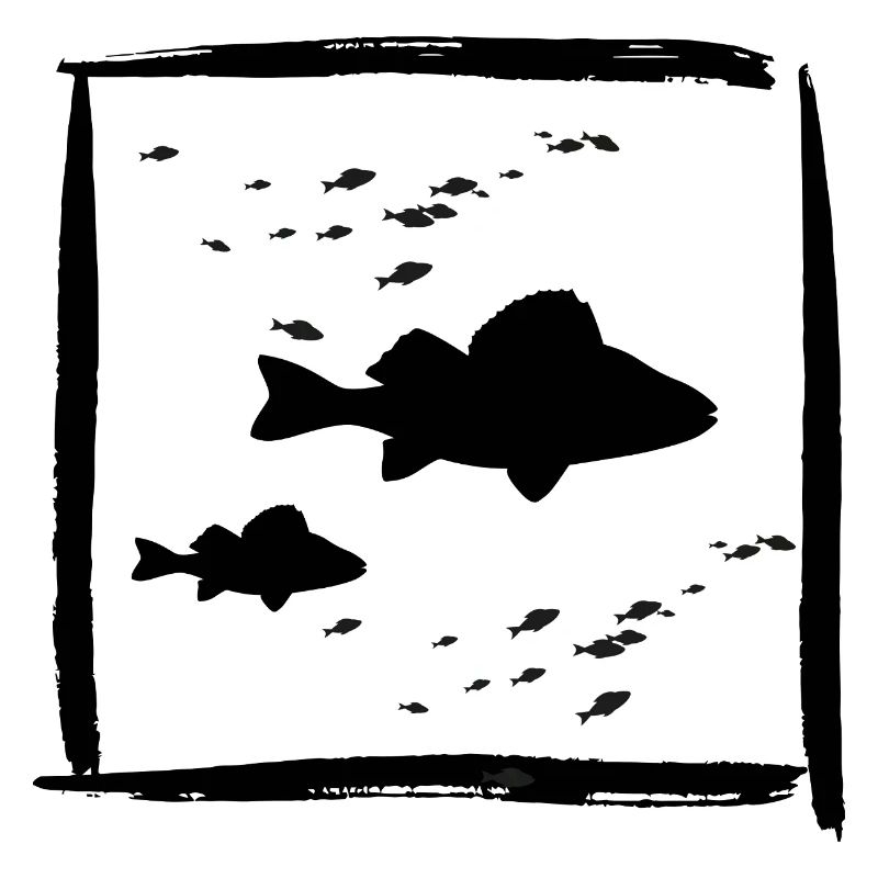 Barsch Perch