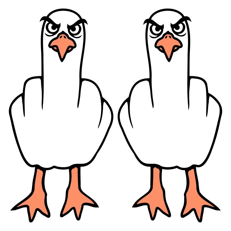 2 Seagulls Middle Finger Insult Stinkfinger Team