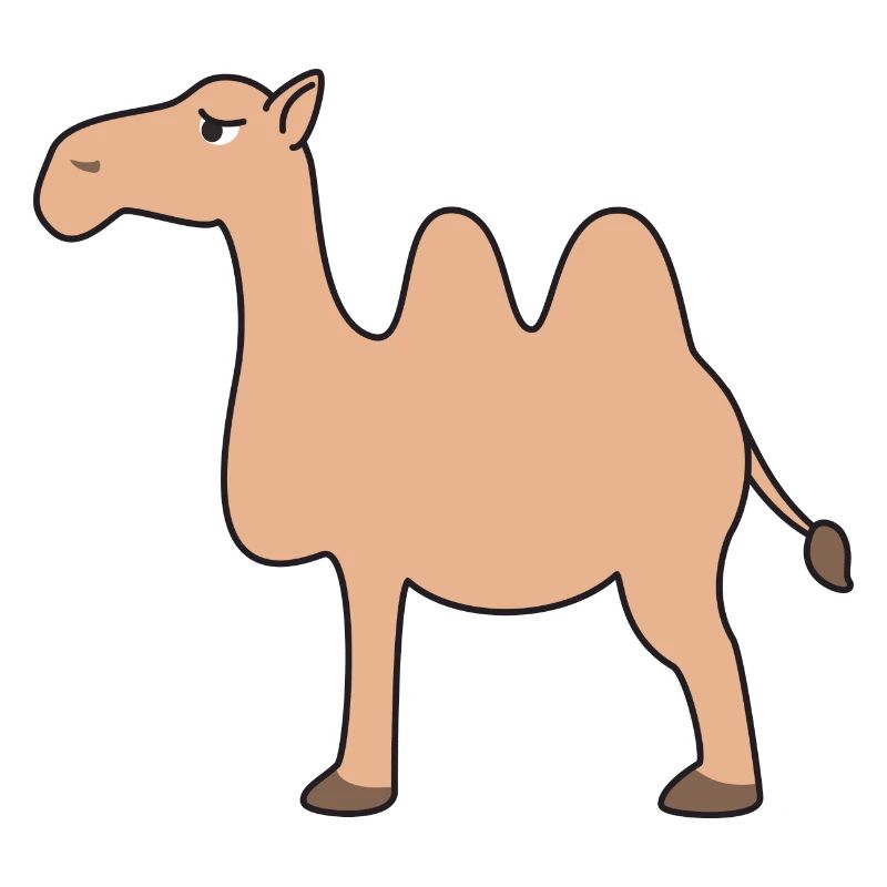 Kamel