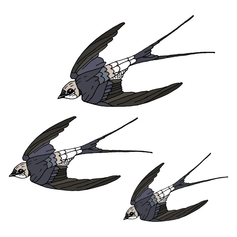 Oiseaux