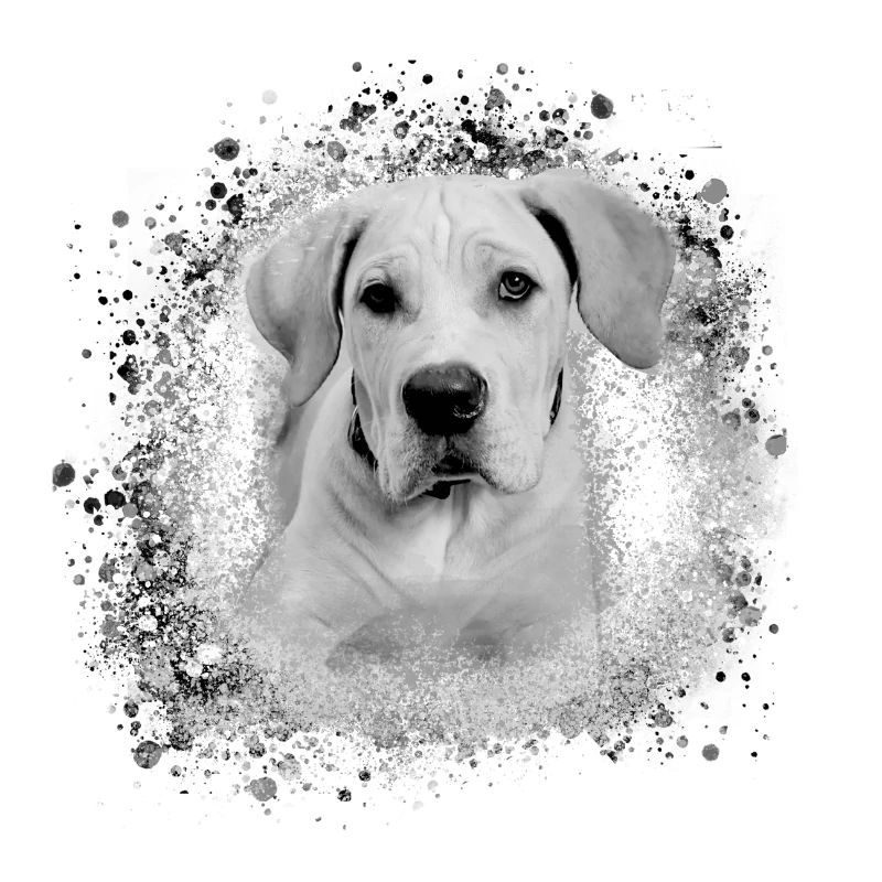 cane corsocane corso,hund,malerei,graffiti,bulldog