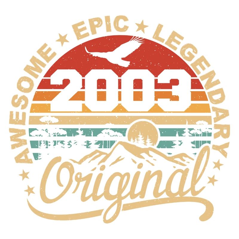 Original 2003 Retro 2003 Geburtstagsgeschenk 2003