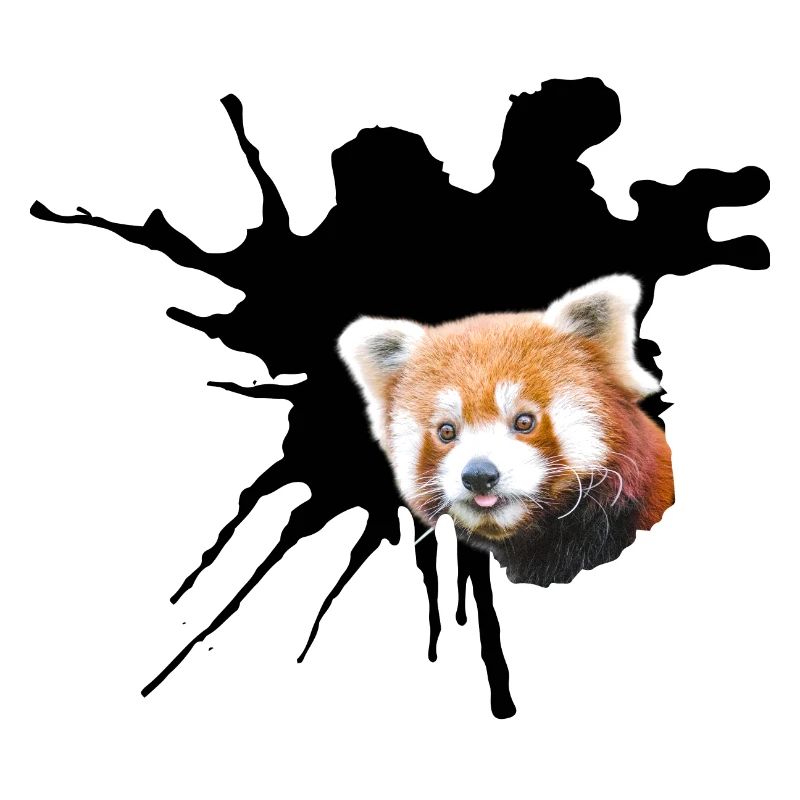 Roter Panda, Spalte