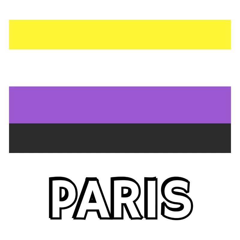 Non binary Pride Flag Paris