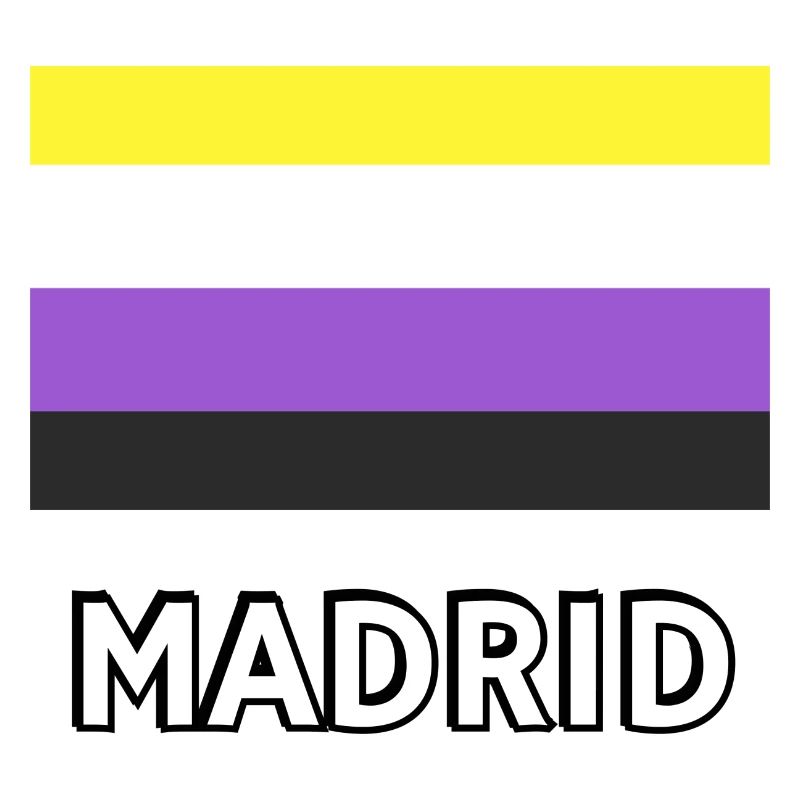 Non binary Pride Flag Madrid