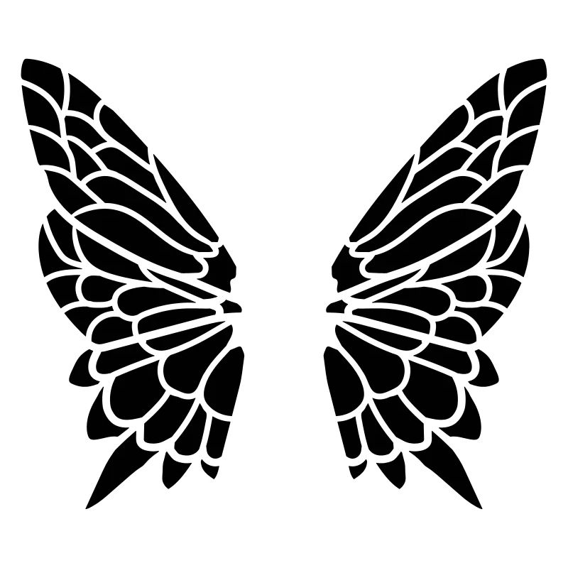 Wing from the butterfly