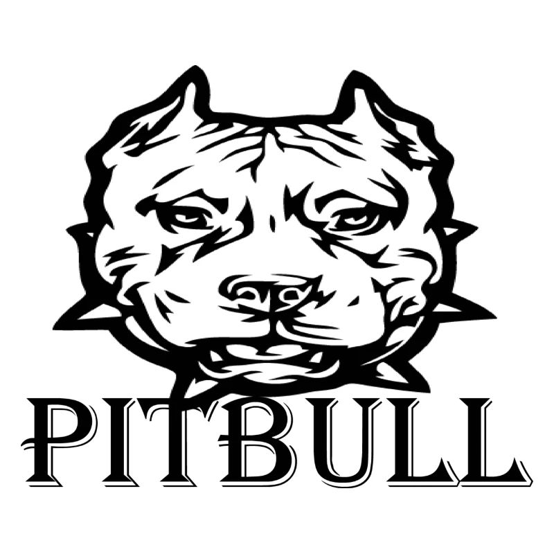 Pitbull Eins