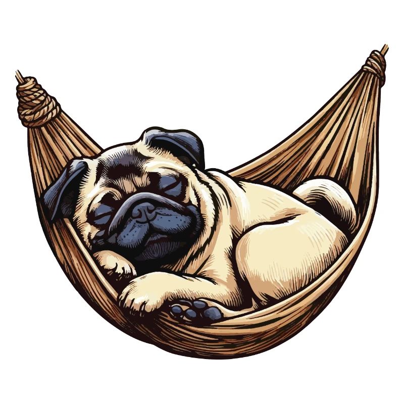 Mops schläft in Hängematte Lustiges Schlaf Mops