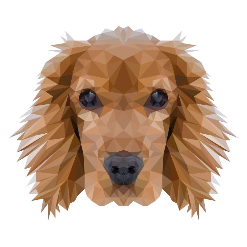 Cocker Spaniel Hund Polygondesign