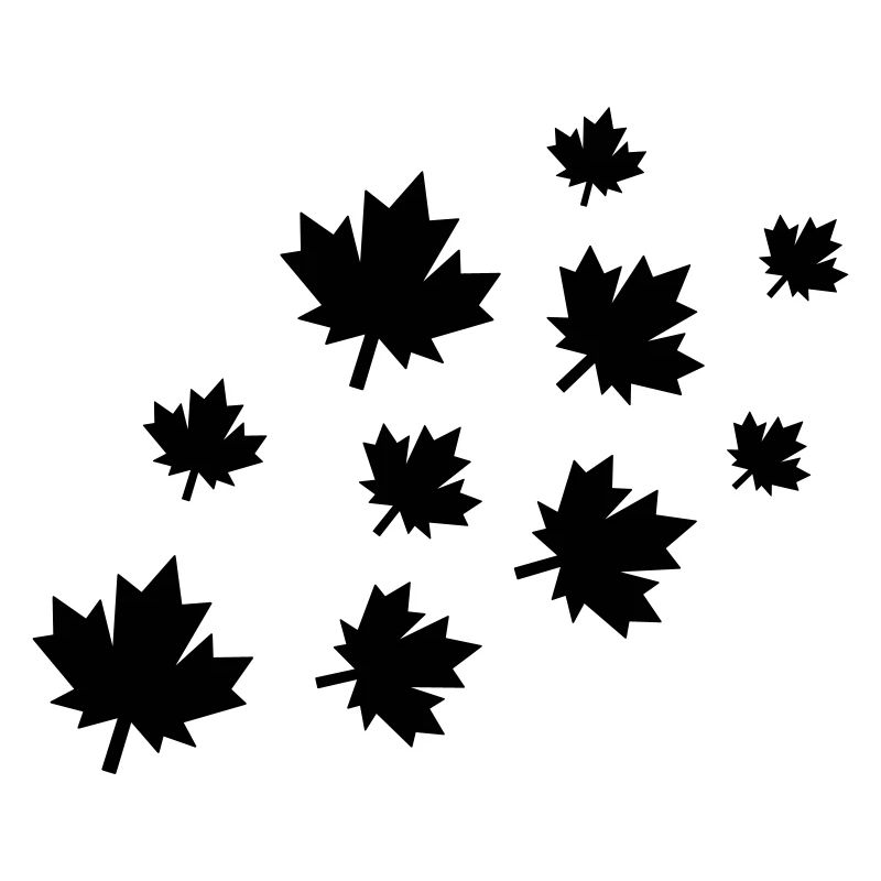 Feuilles d’érable