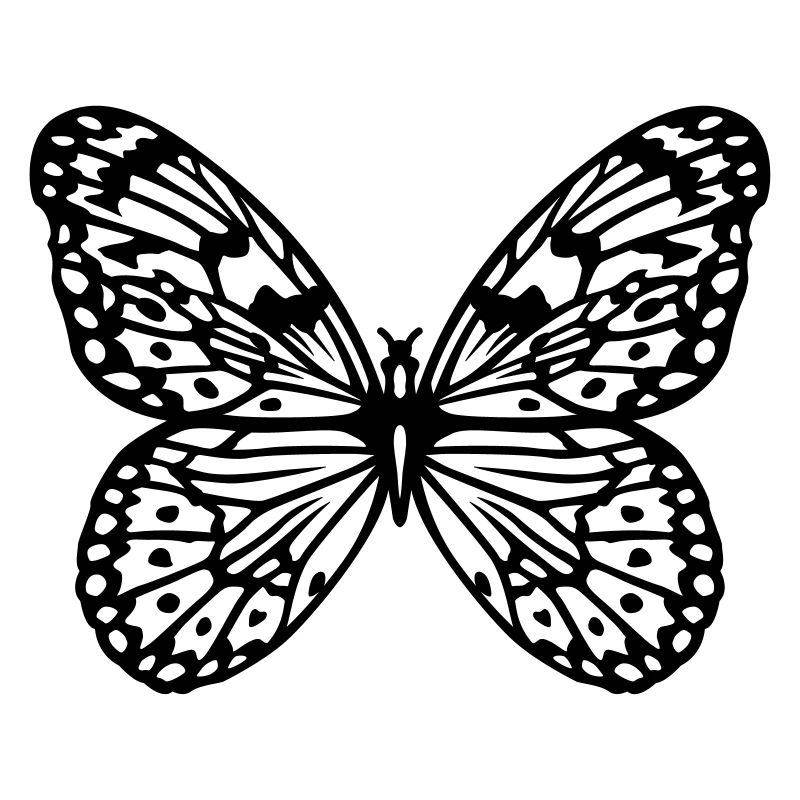 Schmetterling