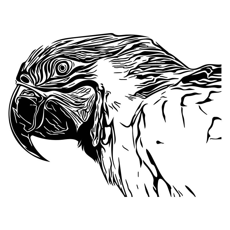 parrot