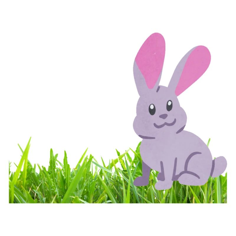 Lapin sur l’herbe