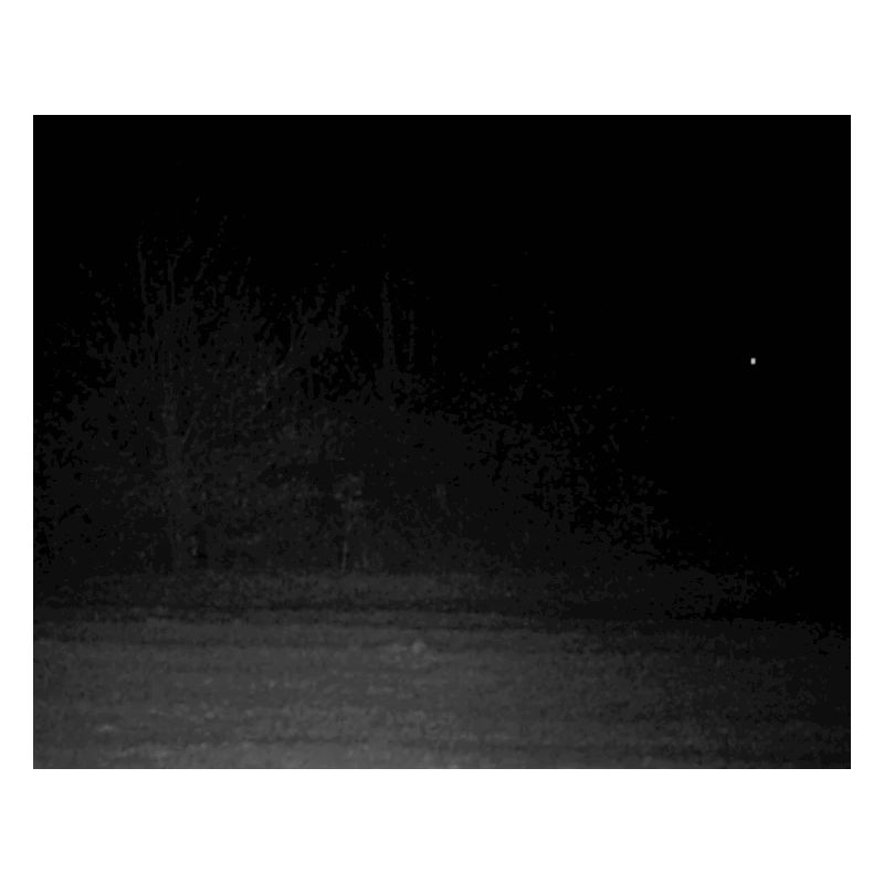 Créature effrayante dans la forêt