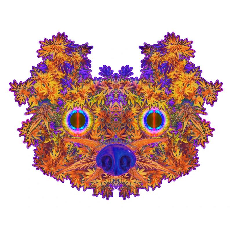 Ganjafuchs