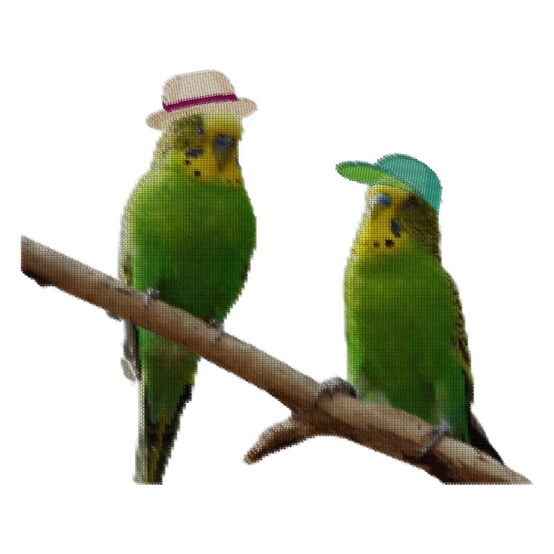Budgerigar dot pixel