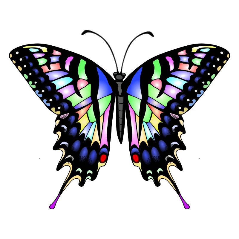Papillon à queue d’aronde