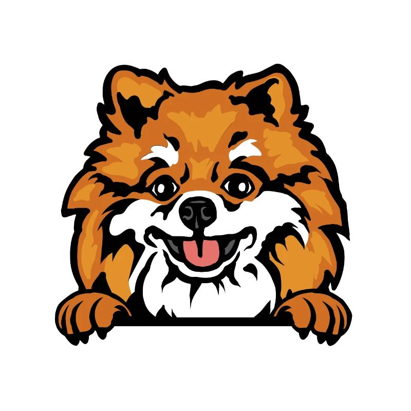 Pomeranian Prowess: Lively Elegance
