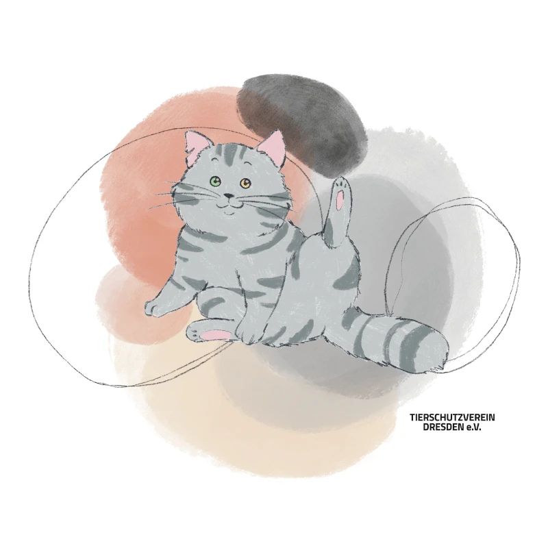 🐾 Grau getigerte Katze🐱