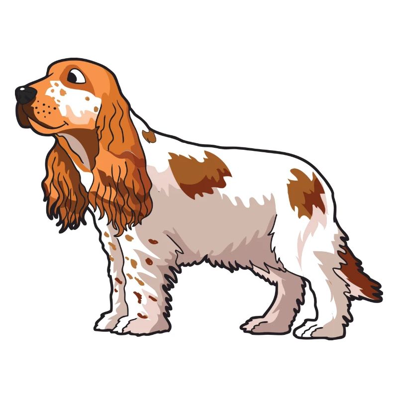 Cocker Spaniel Dog