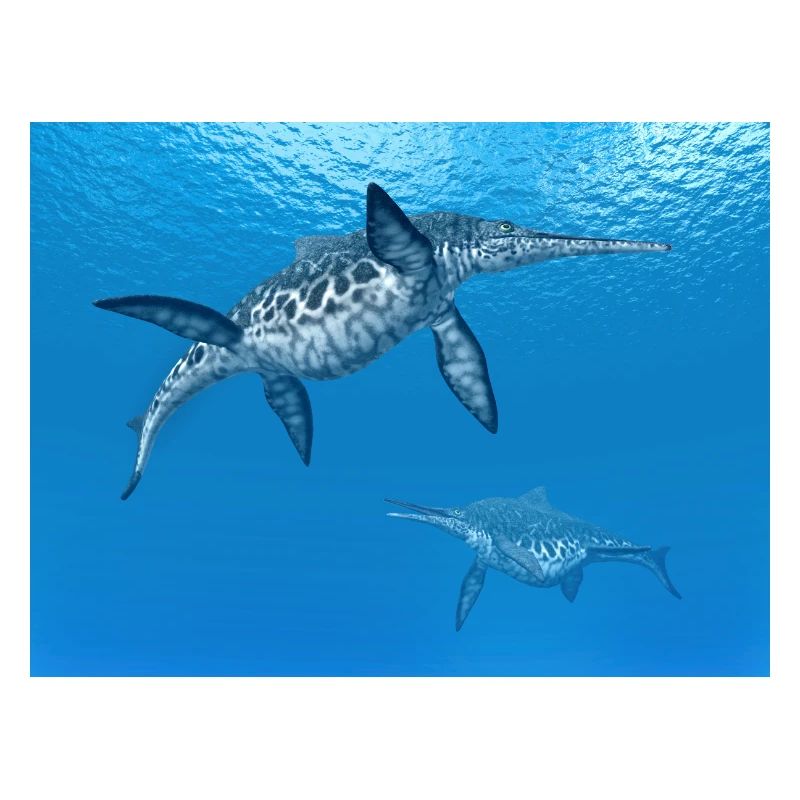 Ichthyosaure Shonisaurus