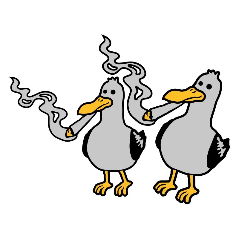 2 Amis Stoner Seagull