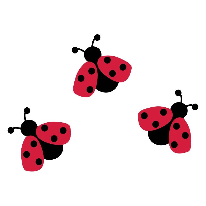 Coccinelle