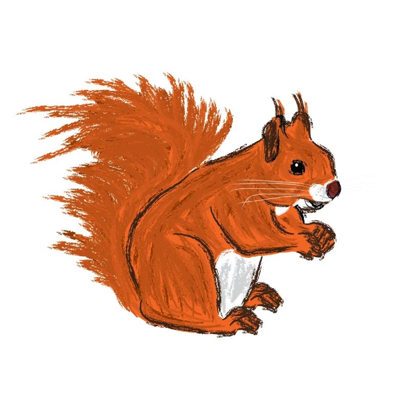 Rotes Eichhörnchen / European Red Squirrel VII