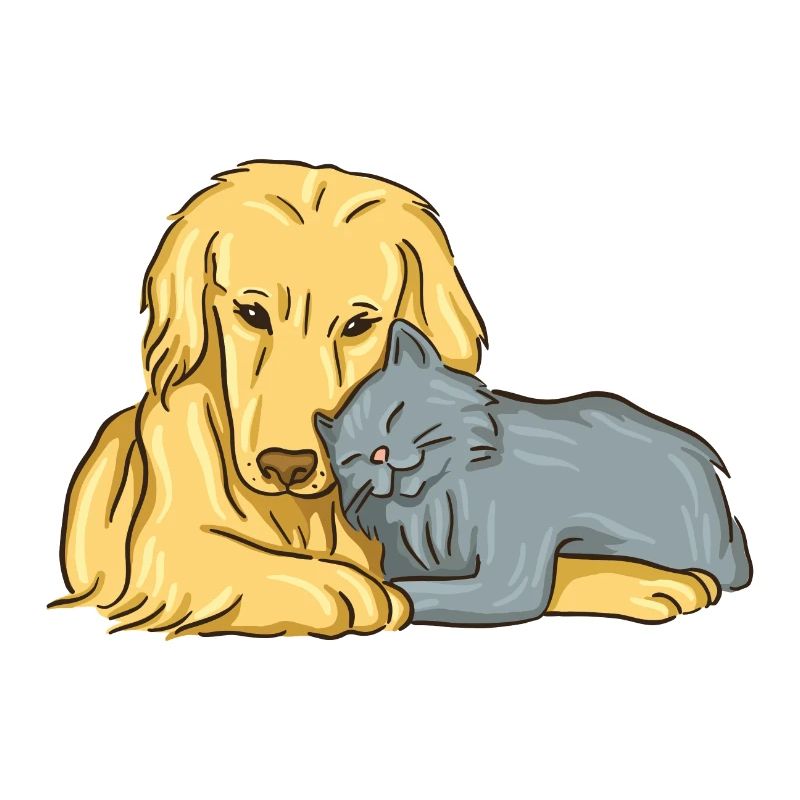 chat et chien