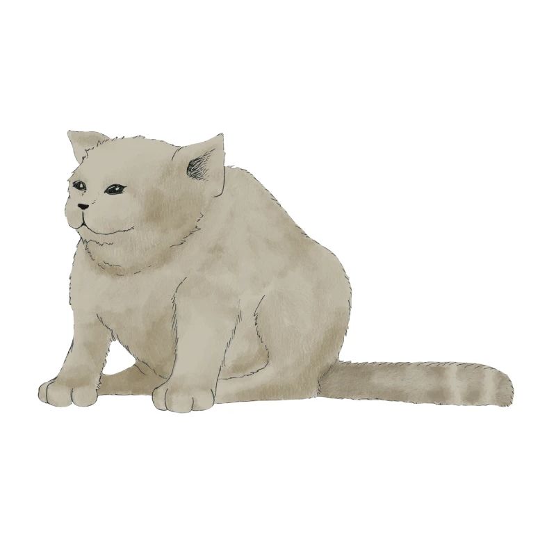 Gros chat gâté