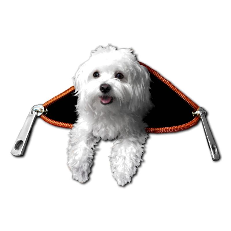 Maltese