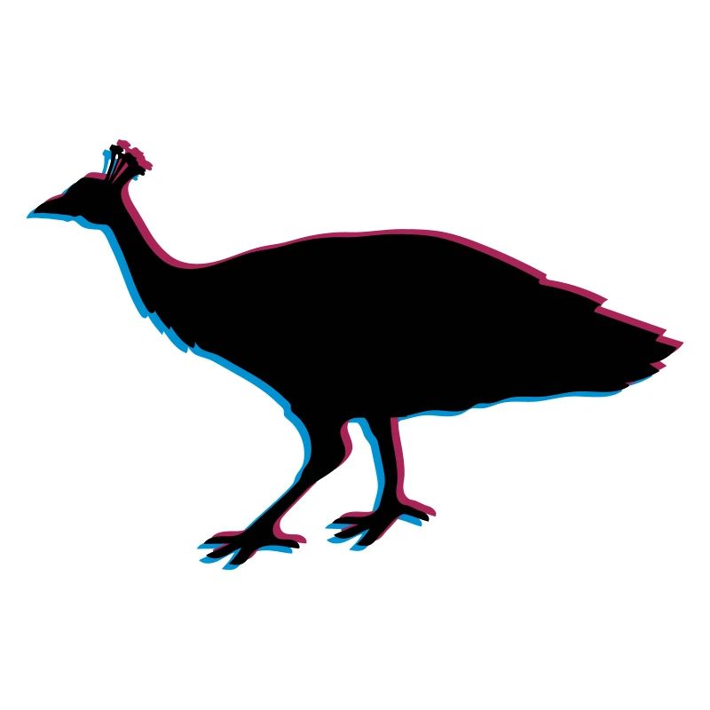3d bird silhouette outline shadow peacock pheasant feather