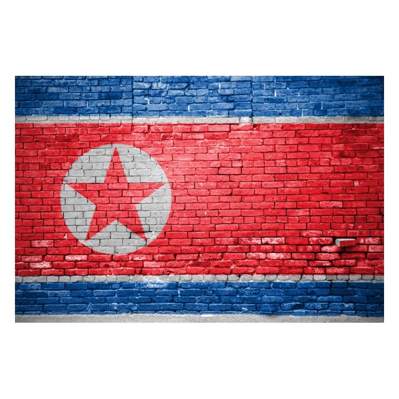Drapeau de la Corée du Nord Graffiti sur mur de briques