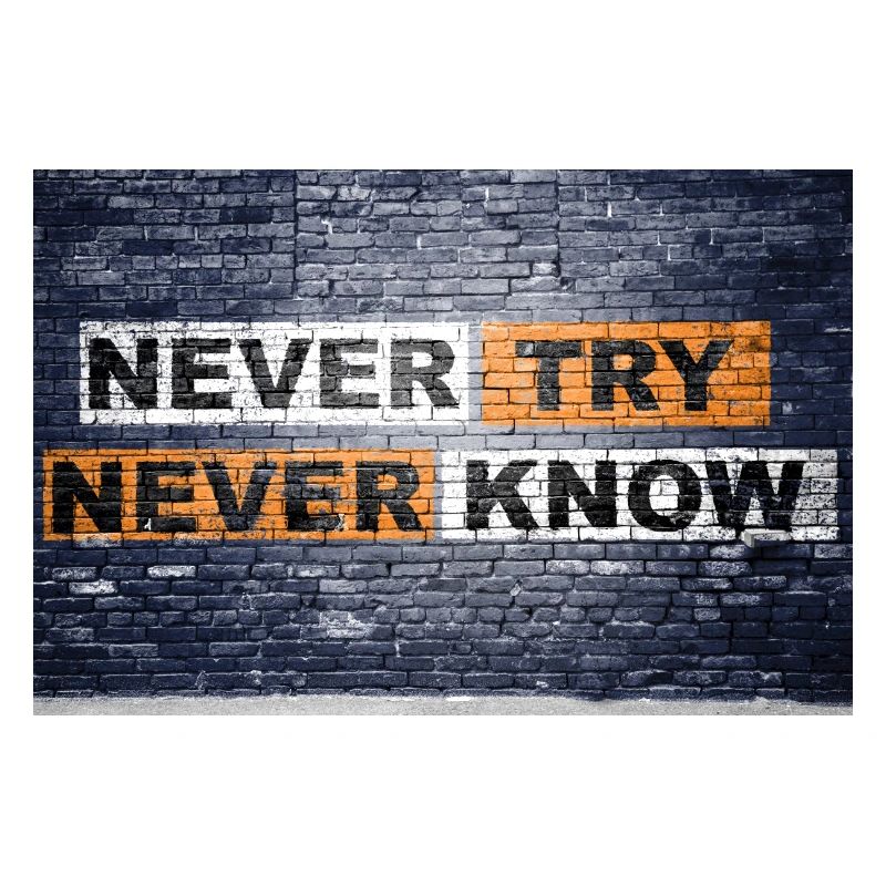 Never Try never know Ziegelsteinmauer Motivation