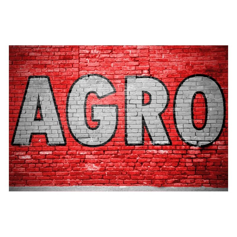Agro Brick Wall Graffiti