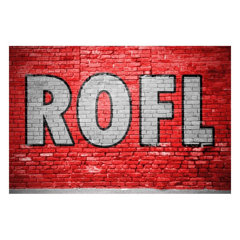 ROFL Brick Wall Graffiti