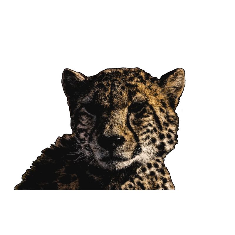 GUÉPARD