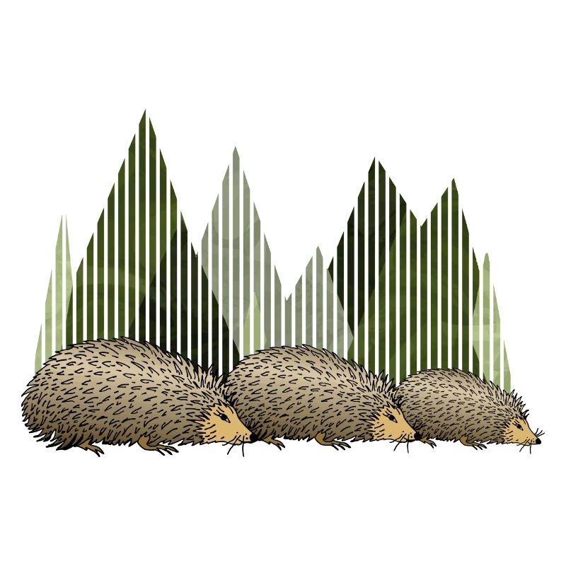Hedgehogs