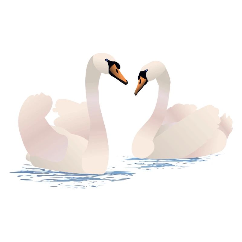 Swans