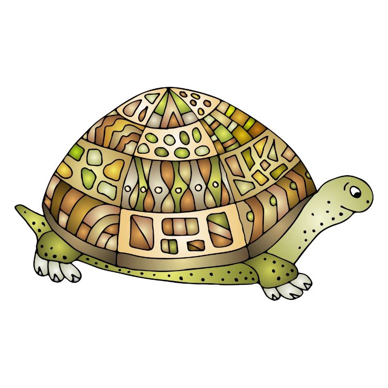 Tortoise