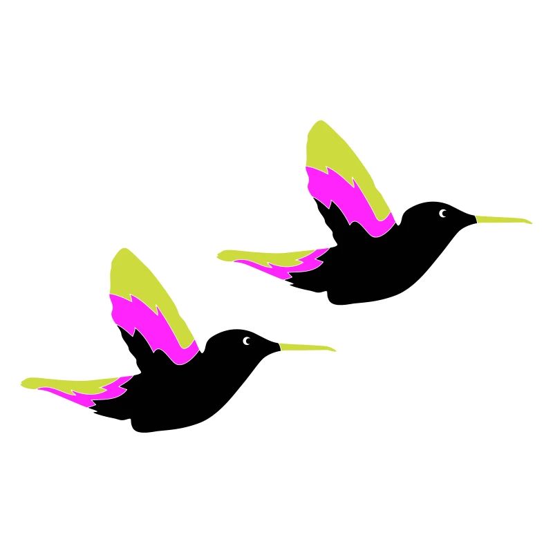 Colibris Oiseaux