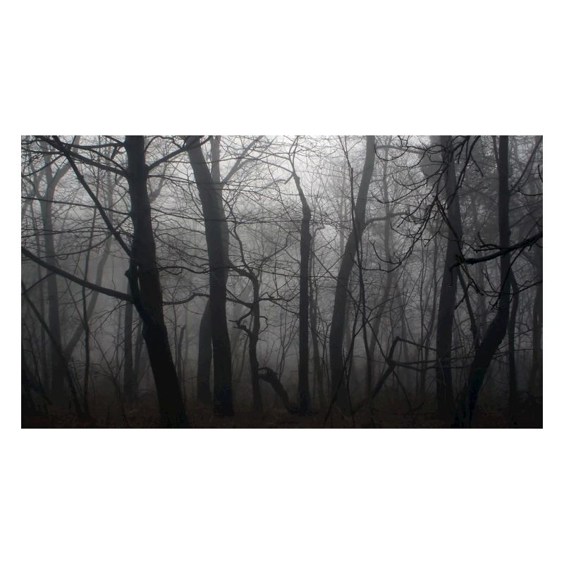 Wald