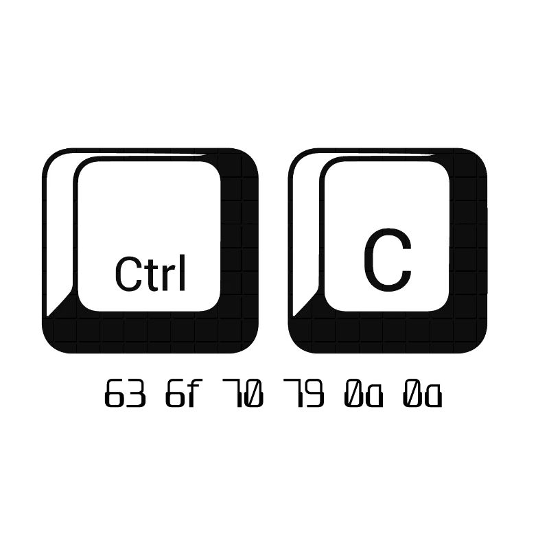 Copy hexa