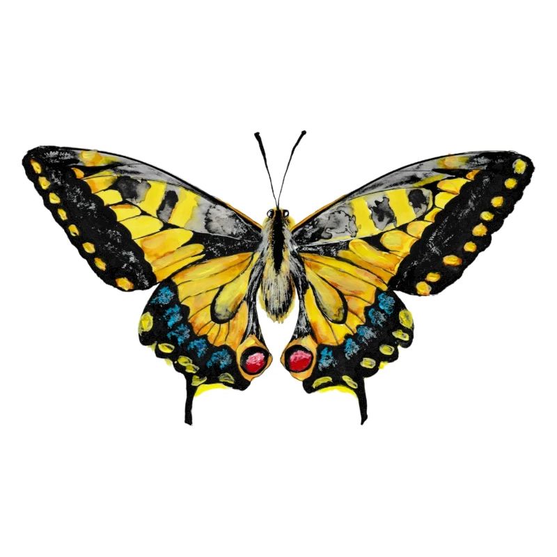 Papillon à queue d’hirondelle