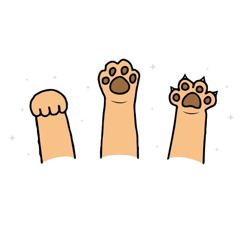 Pierre Papier Ciseaux Jeu De Main Chat Mignon Avec Drôle