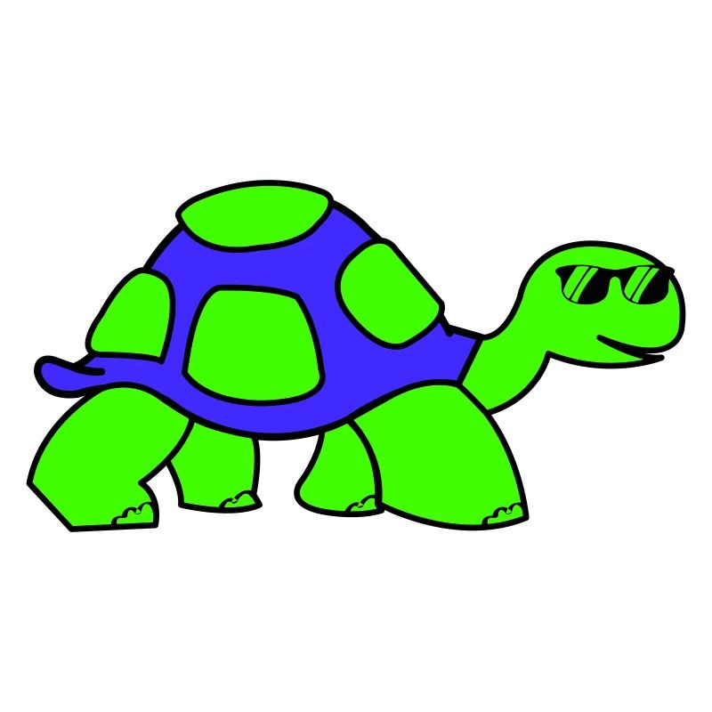cool turtle
